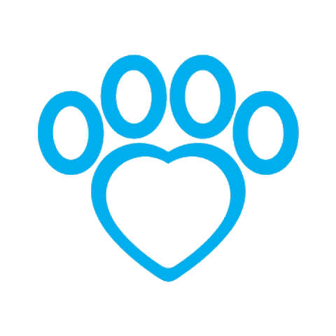 Heart Sticker by praiaanimal