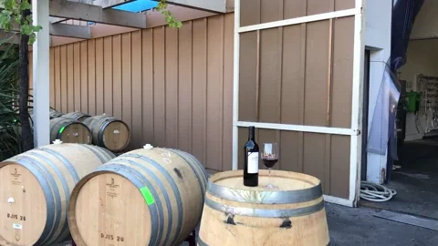 surprise barrel GIF by nakedwines.com