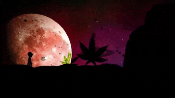 music video animation GIF by T3R Elemento