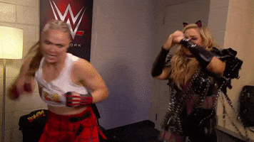 Ronda Rousey Fighting GIF by WWE