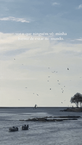 GIF by bmaisca