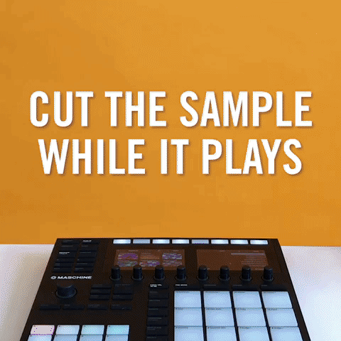 maschine GIF by Native Instruments