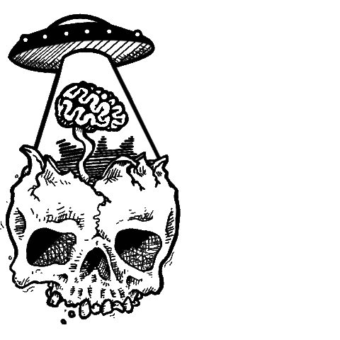 I Lost My Mind Sticker