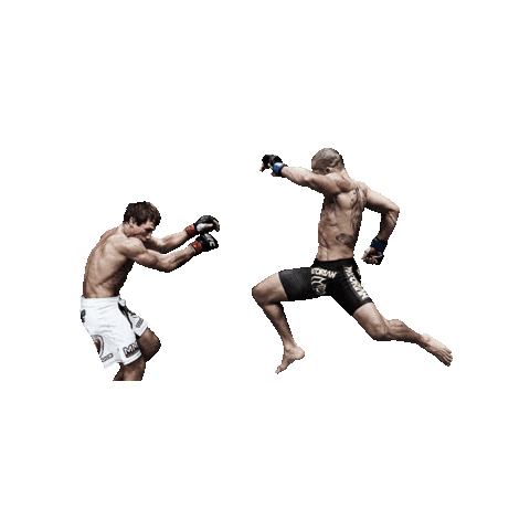 Mma Sticker by Absoluto