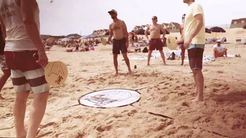 Shakaball Beachgame GIF