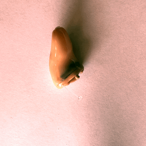 hearing aid GIF by Ryan Seslow