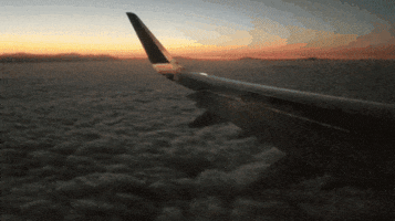 travel flying GIF by Brimstone (The Grindhouse Radio, Hound Comics)