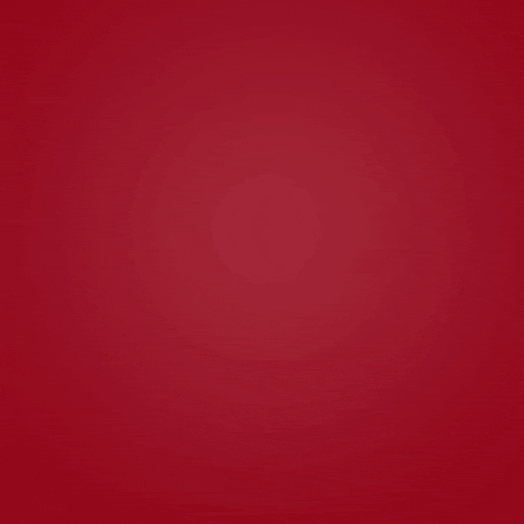 Conquiste Deseje GIF by Diamantes Lingerie