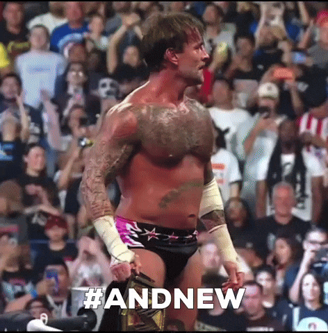 Cm Punk Wwe GIF