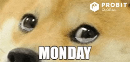 Dog Monday GIF by ProBit Global