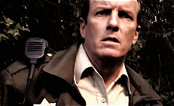 sheriff stilinski