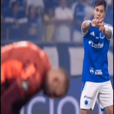 Cruzeiro Esporte Clube GIF