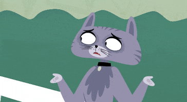 Friends Cats GIF by Kitty Is Not A Cat