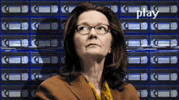 Torture Cia GIF