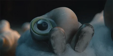 Pondering Marcel The Shell With Shoes On GIF