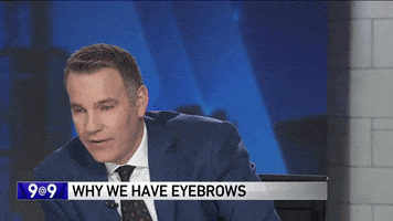 eyebrows yes GIF by WGN Morning News