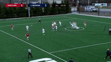heidt kick save and a beauty GIF by Michigan Athletics