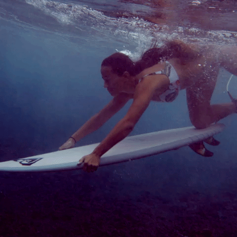 surf GIF by ROXY
