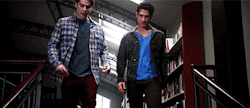 sciles