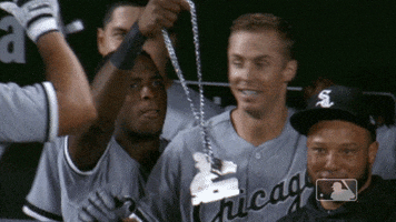 sport time GIF by MLB