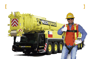 Gruas Sticker by Multiservice