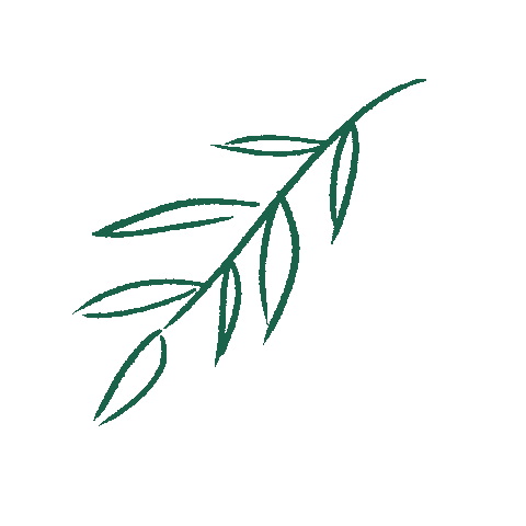 Plant Leaves Sticker