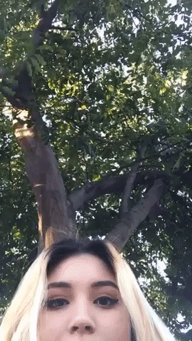 valzillaa tree GIF