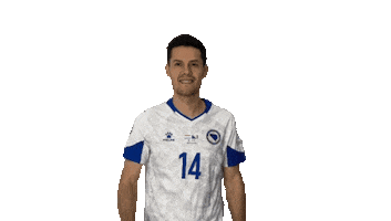 Hajradinovic Sticker by Reprezentacija Ba