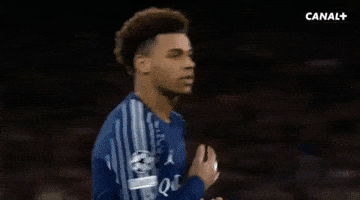 Paris Saint-Germain Celebration GIF