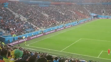 Fifa World Cup Goal GIF