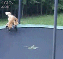trampoline jumping GIF