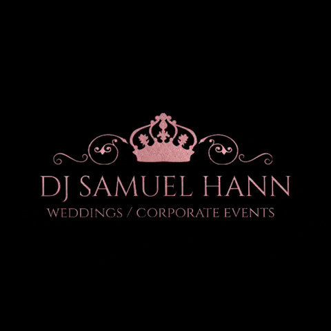 DJ Samuel Hann GIF