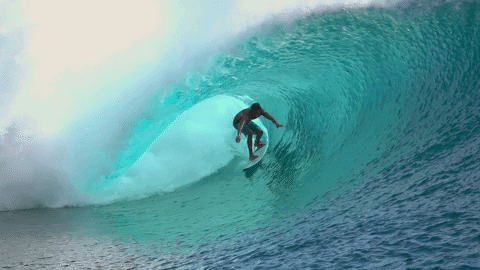 Surfing GIFs - Get the best GIF on GIPHY