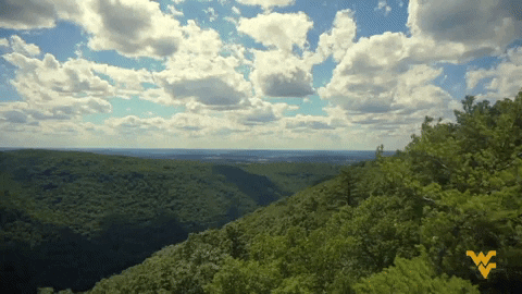 Ncaa Sports Sport GIF by WVU Sports - Find & Share on GIPHY
