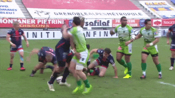 fc grenoble fight GIF by FCG Rugby