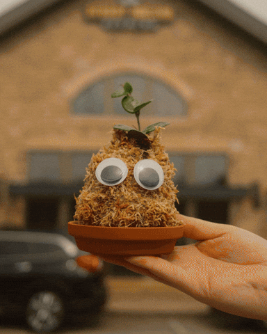 UncommonPlantGuy GIF