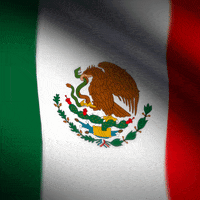 Viva Mexico Logo GIF by xponentialdesign