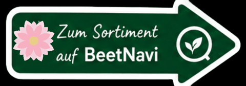 Beetnavi.com GIF