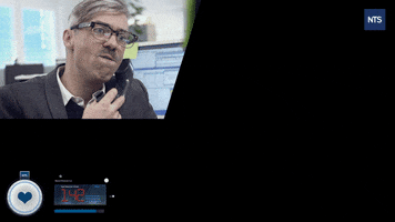 NTS Netzwerk Telekom Services AG GIF