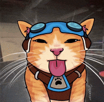 Overwatch GIF