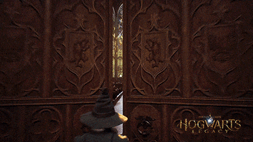Sorting Hat Magic GIF by WBGames