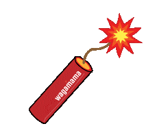 Firecracker Sticker by wagamama
