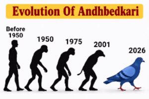 Pigeon GIF