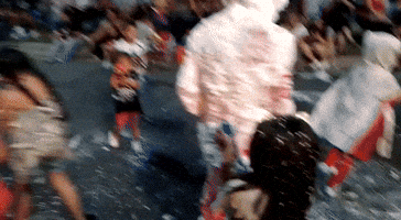 Fiesta Carnaval GIF