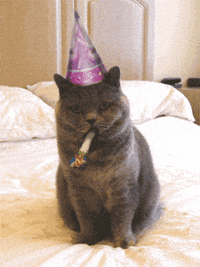 Happy-birthday-funny GIFs - Get the best GIF on GIPHY Happy-birthday-funny GIFs - Get the best GIF on GIPHY
