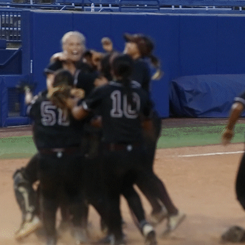 The Alliance Fastpitch GIF