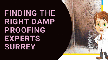 Damp Experts London GIF
