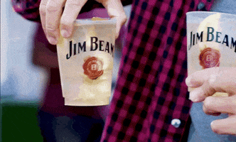 whiskey bourbon GIF by JimBeam