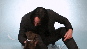 Keanu Reeves Puppy Interview GIF by BuzzFeed