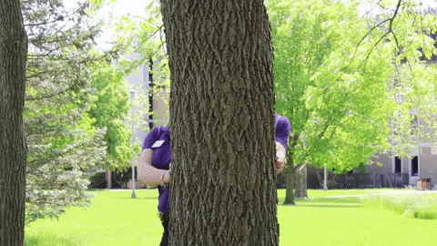 Orientation Leaders